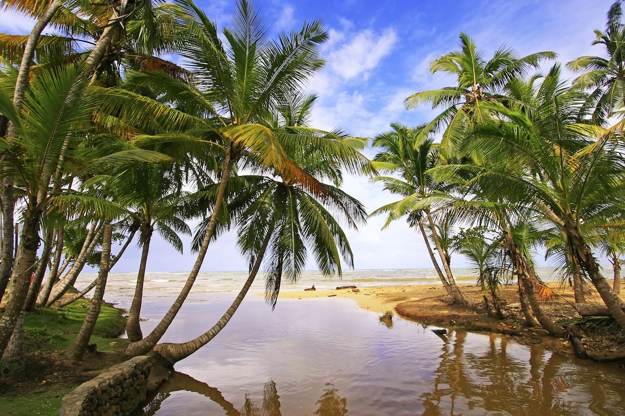 https://d36tnp772eyphs.cloudfront.net/blogs/1/2020/07/Las-Terrenas-DR-beach.jpg